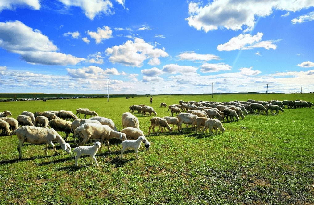 樂林丨讓每個(gè)人，樂享品質(zhì)涮烤生活